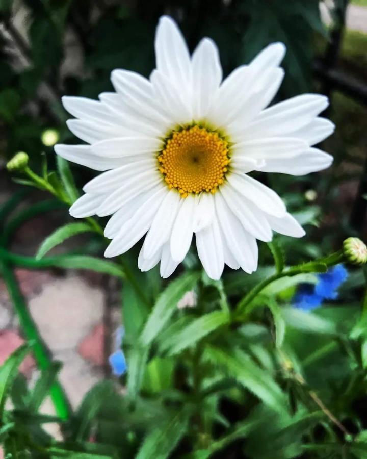 Hotel Lotus Ureki Dış mekan fotoğraf