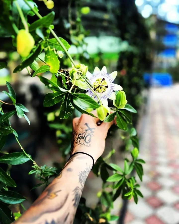 Hotel Lotus Ureki Dış mekan fotoğraf